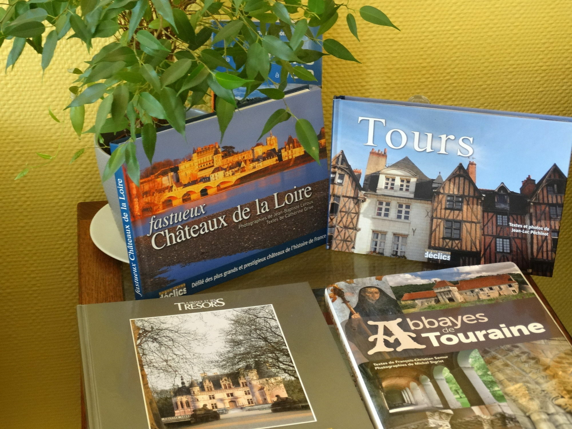 Castel Fleuri Tours